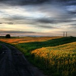 hdr_20 Pola na Przełajce