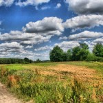 hdr_28 Pola koło Wielunia