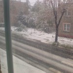Drogi pokrył wielokolorowy dywan Drogi pokrył wielokolorowy dywan